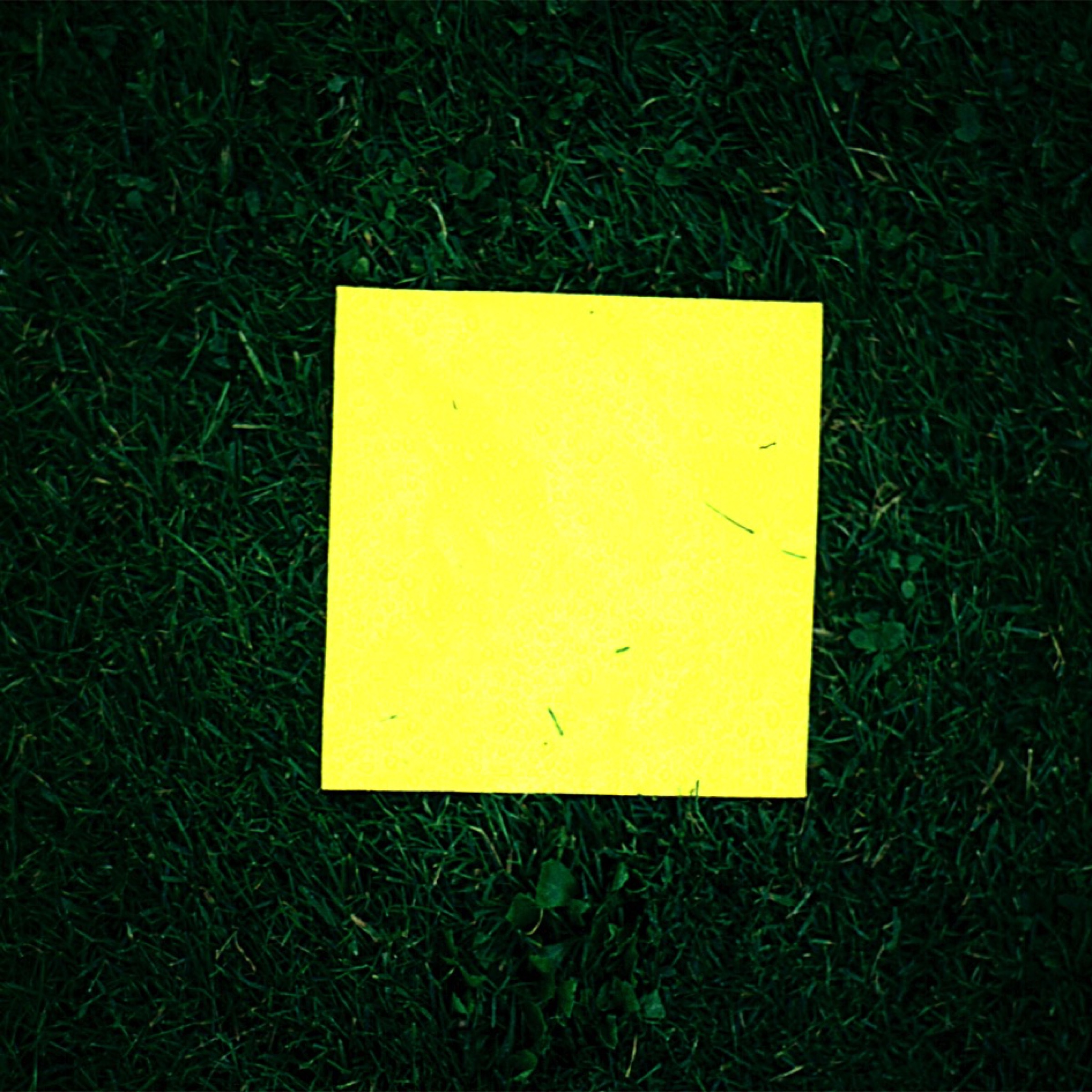 lines – 100Landschaftsarchitektur